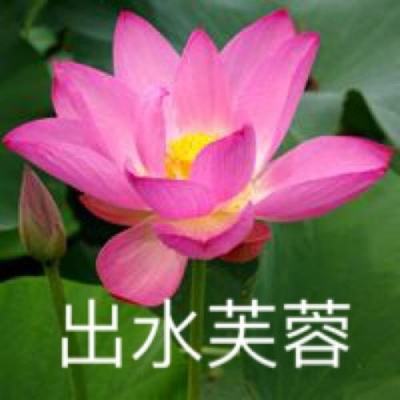 热血格斗畅玩版果盘游戏下载